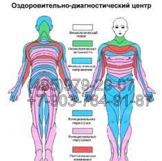 Диагностика организма и профилактика заболеваний Москва