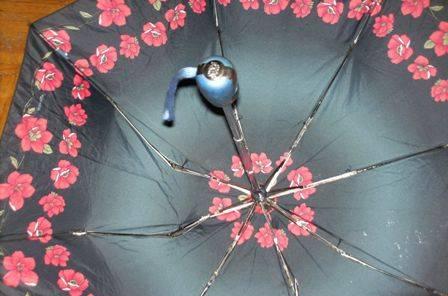 Зонт Москва