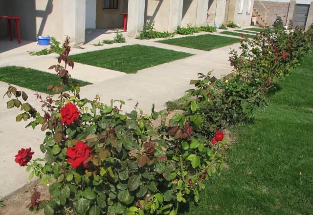 Отдых в Крыму Сезон 2010 Новосибирск