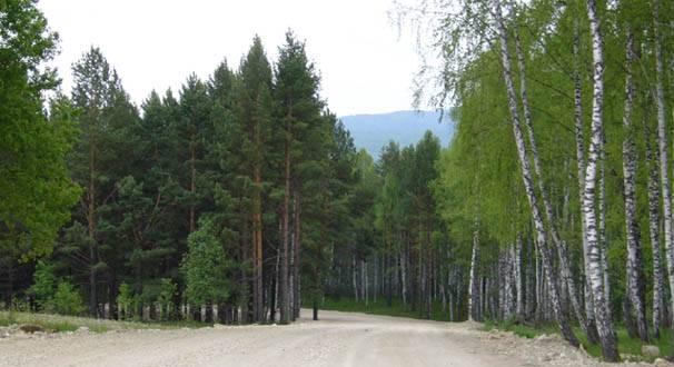 Продам земельный участок 9,5 га Красноярск