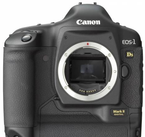 Полноматричный Canon EOS 1Ds Mark II, 2 аккум Москва