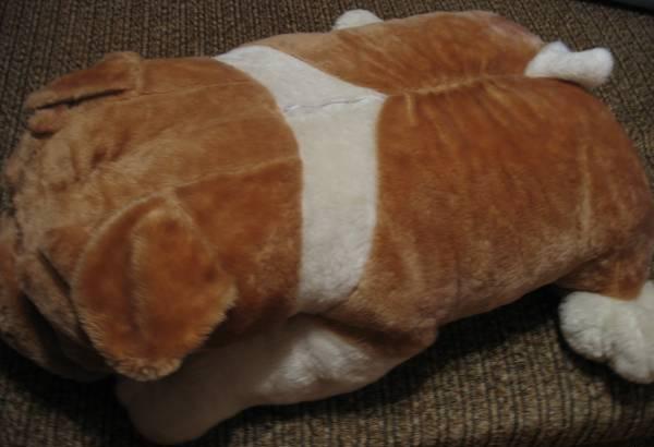 Собака огромная,породы Шарпей Челябинск