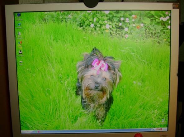 Компьютер Москва