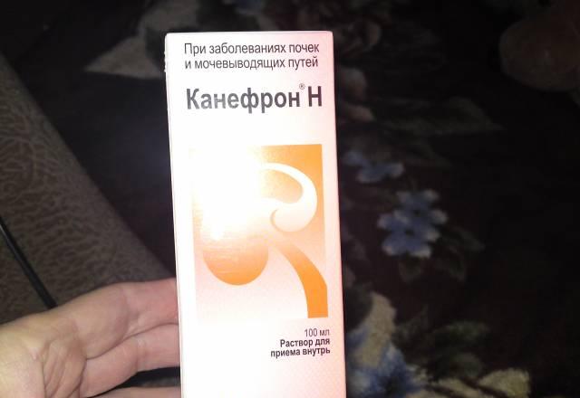 Канефрон н Санкт-Петербург