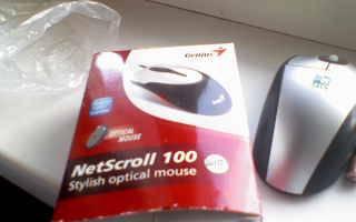 Мышка беспроводная Genius NetScroll Москва