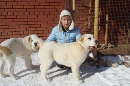 Гостиница для животных Белый парус Нижний Новгород