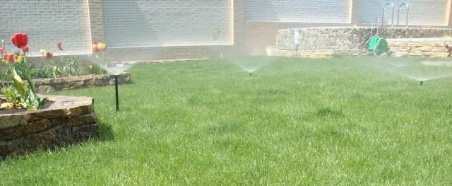 Автоматический полив Ростов-на-Дону