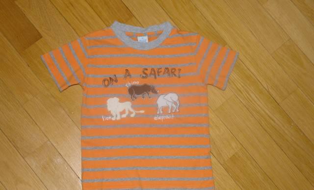 Футболка  для мальчика на 3-5 лет сафари Москва