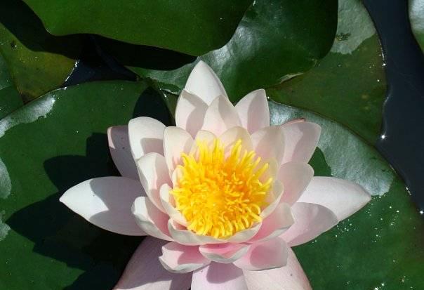 Йога Москва