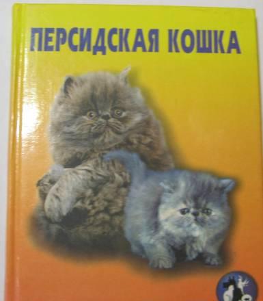 Персидская кошка Санкт-Петербург