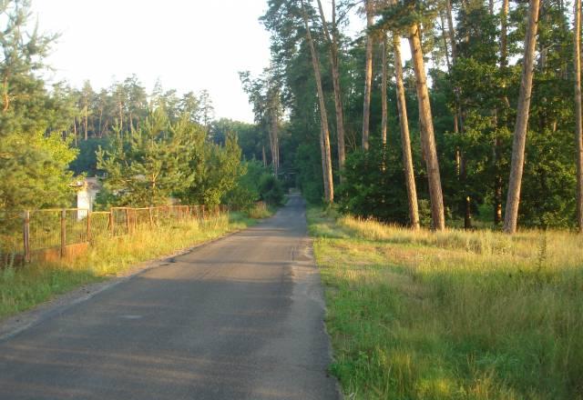 Объект в лесу Москва