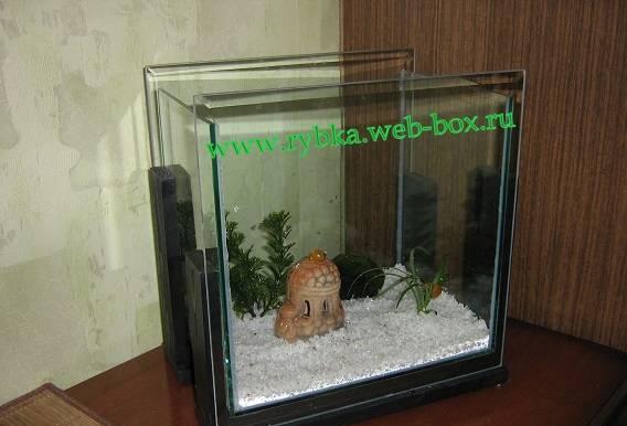 Мини-аквариумы с рыбками Москва