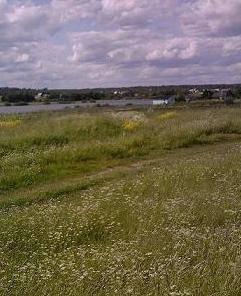 Участок у реки Волхов д. Дубровка 150 км от спб Кириши