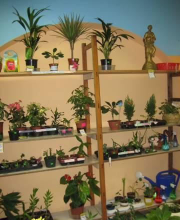 Цветочный бизнес Москва