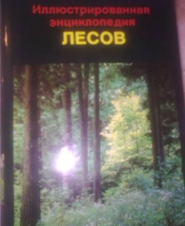 Иллюстрированная энциклопедия лесов Москва