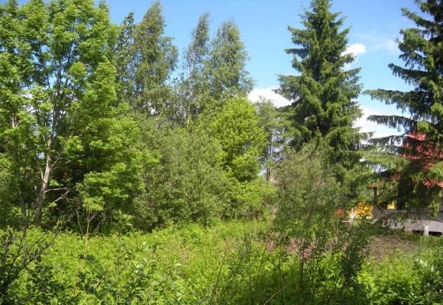 6 соток в Садоводстве Мшинская Лужский р-н Санкт-Петербург