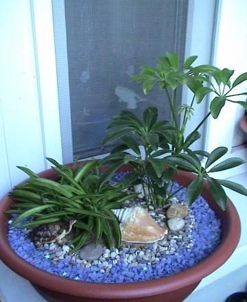 Миниатюрный садик Остров Москва