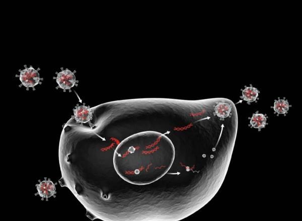 Репетитор по Биологии Москва