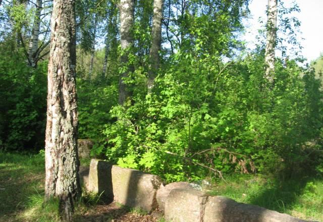Шикарный берег финского залива 50 сот Санкт-Петербург