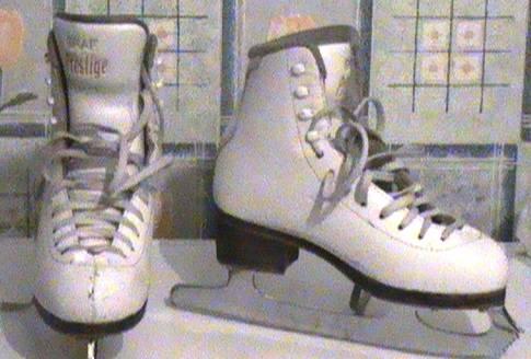 Коньки Санкт-Петербург