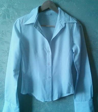 блузка классическая 100 % хлопок Москва