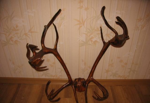 Рога оленя цельные Москва