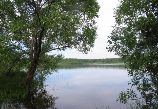 Дом в деревне у озера, 100 км., Горьковское ш Москва
