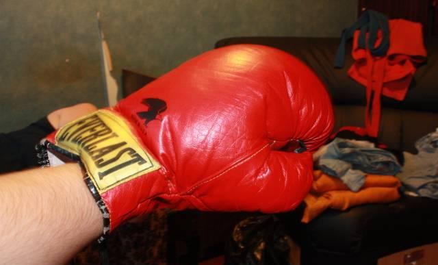 Боксерские перчатки everlast Москва