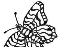 Дизайн, сайт, брошюры Москва