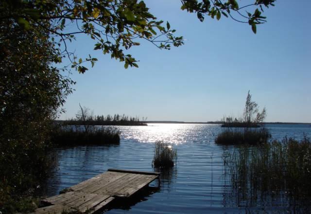 Земельный участок в Ивангороде, 10 соток Санкт-Петербург