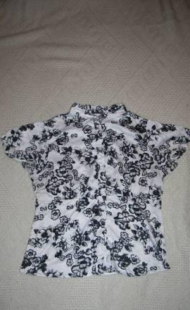 Блузка oggi Москва