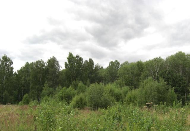 Калужское ш. 63 км. Тетеринки Москва
