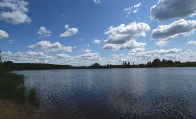 Коттедж, в формирующемся поселке Лосино-Петровский