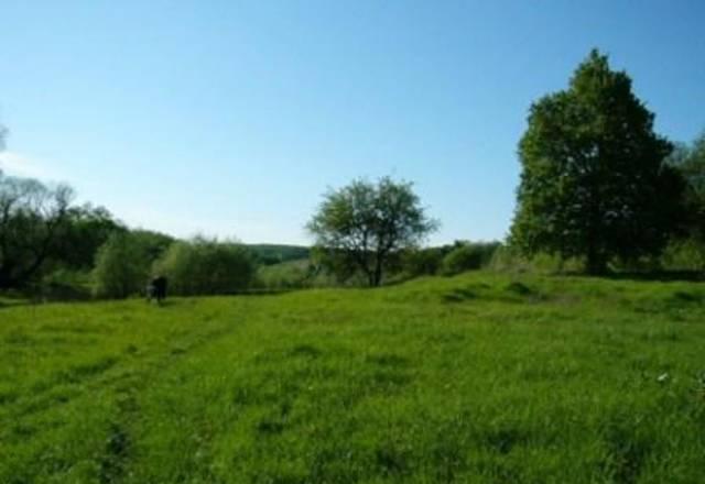 Участки 10 и 20 сот. (смежные)в д.Замарино 160 км Алексин