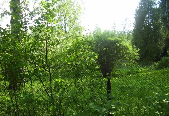 Рощино. Участок ижс,  на берегу озера Санкт-Петербург