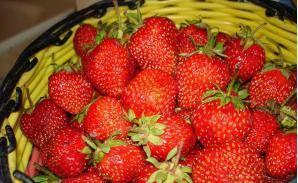 Клубника Москва