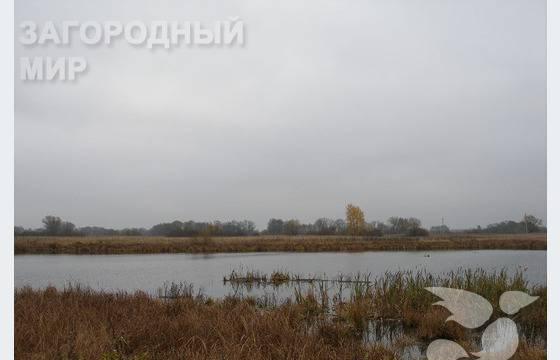 Ленинградское ш., 150 км .Новинки(Завидово) Москва