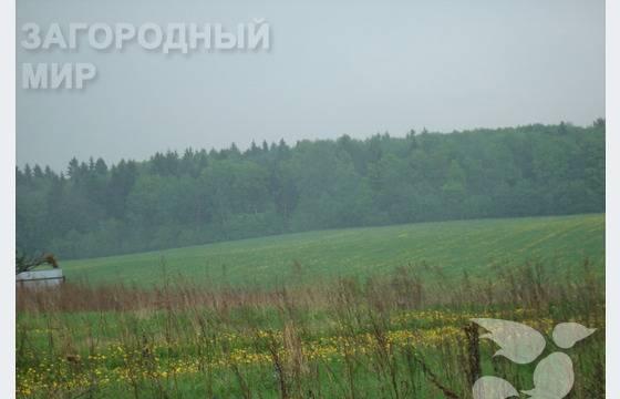 Волоколамское ш., 52 км., д. Кучи Москва