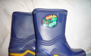 Сапоги резиновые Москва