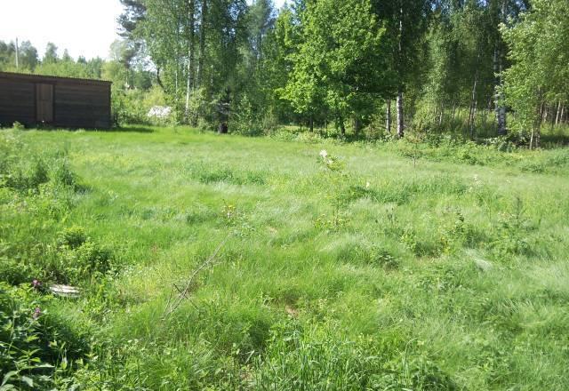 9 соток около красивого леса Москва