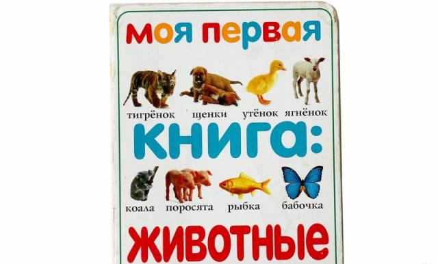 Моя первая книга про животных Москва