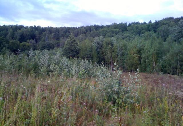 Участок 15 соток Новорязанское ш 37км д Дьяково Бронницы