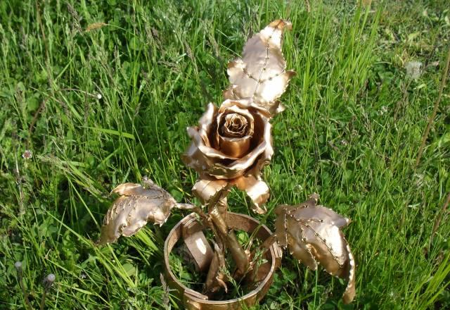 Роза Владивосток