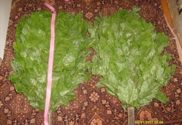 Банные веники(береза,дуб,дуб с мятой) Нижний Новгород