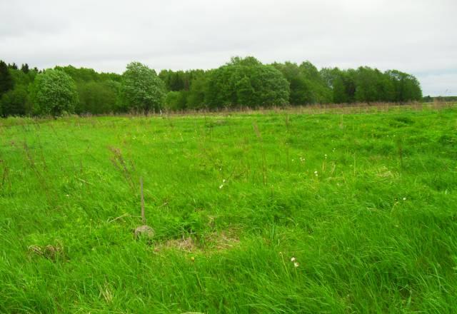 Участок в Мало-Карлино Красное Село