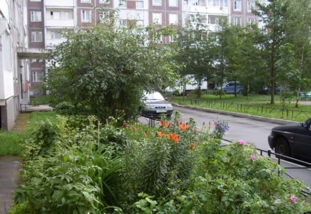 2 комнаты в Купчино Санкт-Петербург