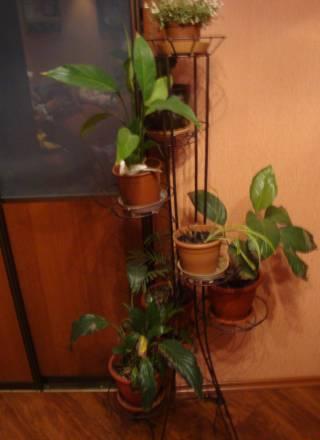 Подставка для цветов Москва