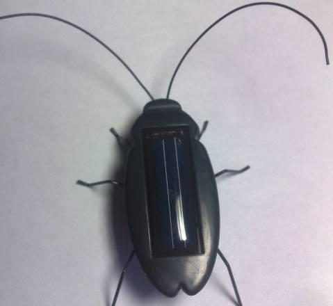 Солнечный таракан. Игрушка на солнечной батарее Москва