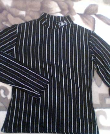 Водолазка Москва