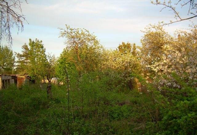 Красное село Санкт-Петербург